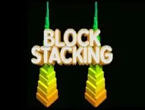 Block Stacking image