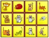 Cats Findiff image