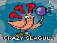 Crazy Seagull image