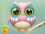 Cute Owl Puzzle image