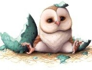 Cute Owl Slide image