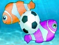 Fish Soccer image