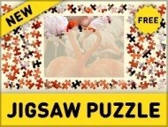 Jigsaw Puzzle image
