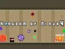 Kingdom of Ninja 4 image