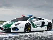 Police Cars Jigsaw Puzzle image