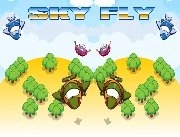 Sky Fly image