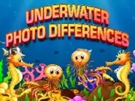 Underwater Photo Differences image