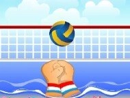 Volley ball image