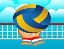 Volleyball Sport Game image