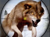 Wild animal hunting image