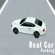 Real Car Parking 3d