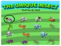 The Unique Insect